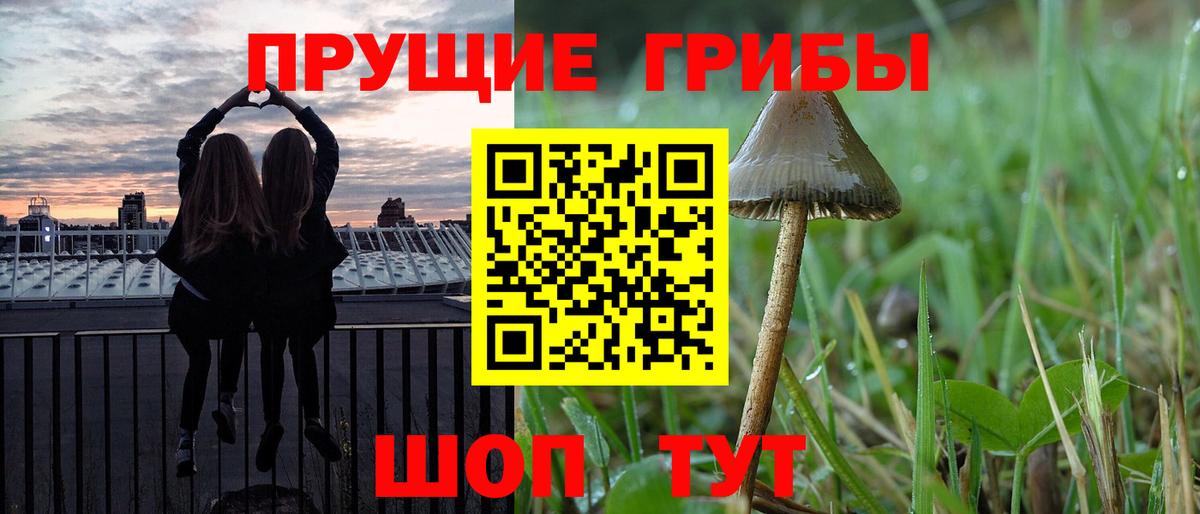 Псилоцибиновые грибы MAGIC MUSHROOMS Нижнеудинск