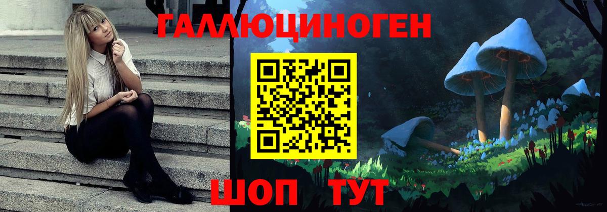 Псилоцибиновые грибы ЛСД  Вход с VPN  закладки  Нижнеудинск 